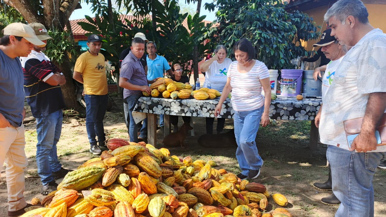 ACAV impulsa la innovación en el beneficio del cacao con taller teórico-práctico sobre inoculantes microbianos
