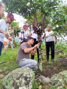 ACAV impulsa formación en Buenas Prácticas Agrícolas para el cultivo de cacao en Calderas