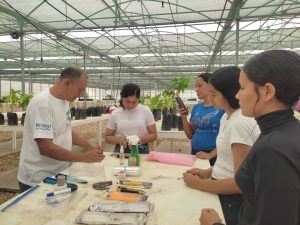 ACAV desarrolló taller teórico-práctico sobre propagación asexual del cacao en el marco de su 16° aniversario