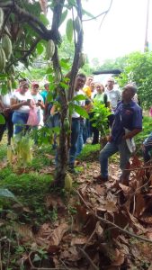 Productores fortalecen capacidades técnicas en manejo fitosanitario del cultivo de cacao en Barinas