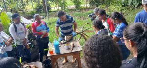 ACAV realizó formación sobre propagación de musáceas y sanidad vegetal en Cruz Paredes