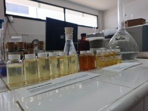 ACAV avanza en la producción de aceites esenciales e hidrolatos con aplicaciones agrícolas y fitoterapéuticas