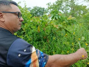 ACAV impulsa investigación sobre la flora apícola en el Eje Agroecológico Llano Alto en Barinas