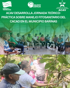 ACAV desarrolla jornada teórico-práctica sobre manejo fitosanitario del cacao en el municipio Barinas