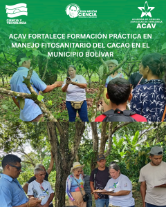 ACAV fortalece formación práctica en manejo fitosanitario del cacao en el municipio Bolívar