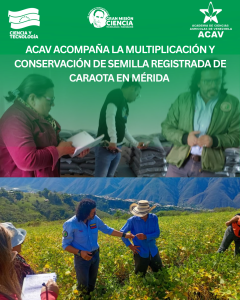 ACAV acompaña la multiplicación y conservación de semilla registrada de caraota en Mérida