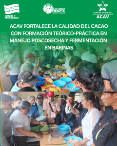 ACAV fortalece la calidad del cacao con formación teórico-práctica en manejo poscosecha y fermentación en Barinas