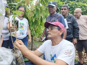 ACAV fortalece el mejoramiento genético del cacao mediante jornada práctica en Barinas