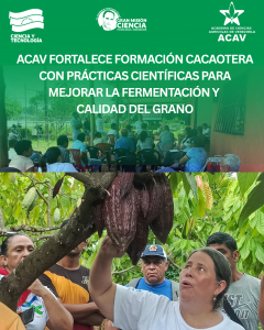 ACAV fortalece la formación cacaotera con prácticas científicas para mejorar la fermentación y calidad del grano